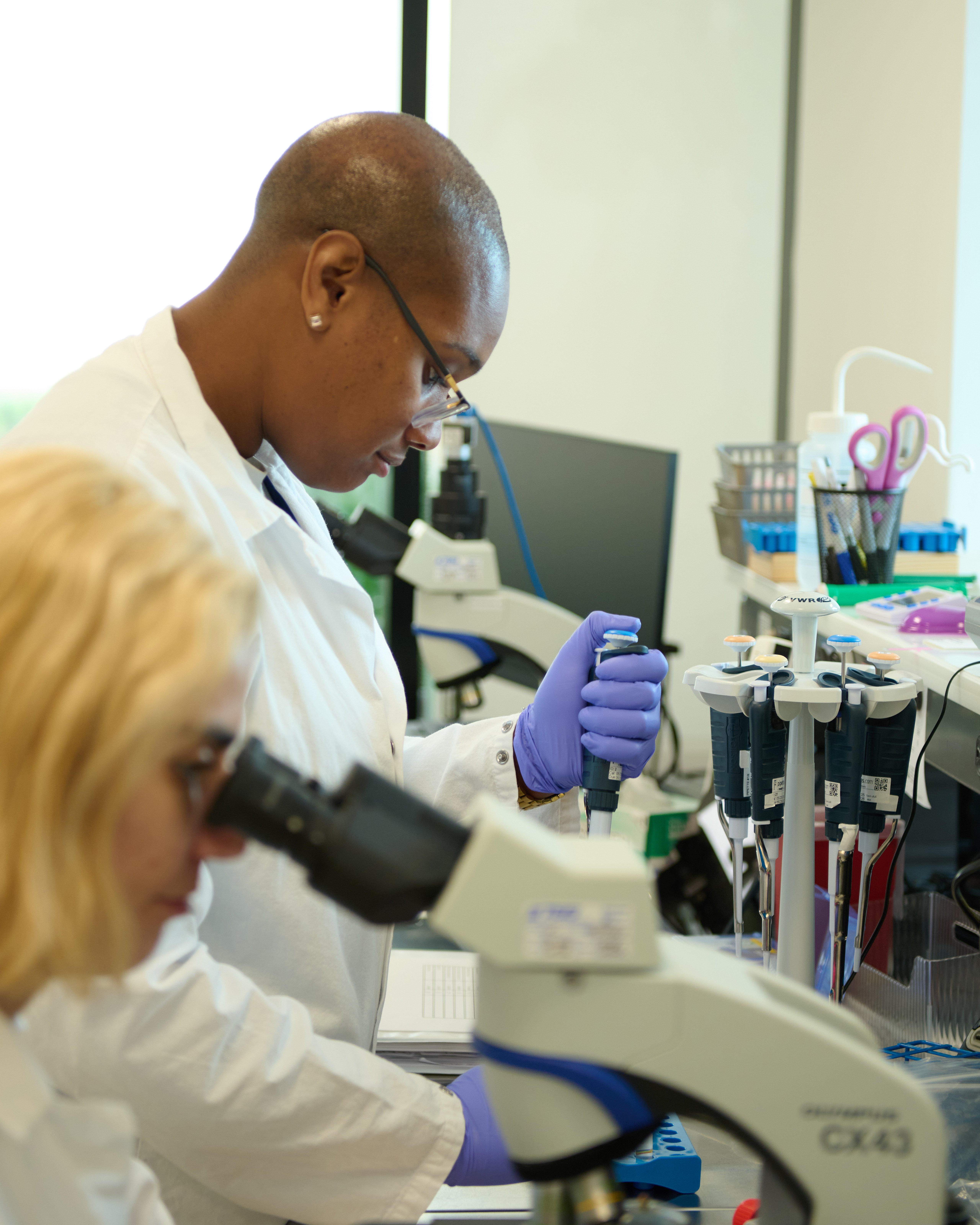 Laboratory staff member performing DNA verification work